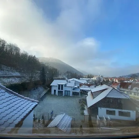 Burgblick